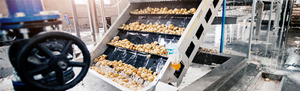 Bringing F&B expertise in the form of preventative maintenance walk-throughs